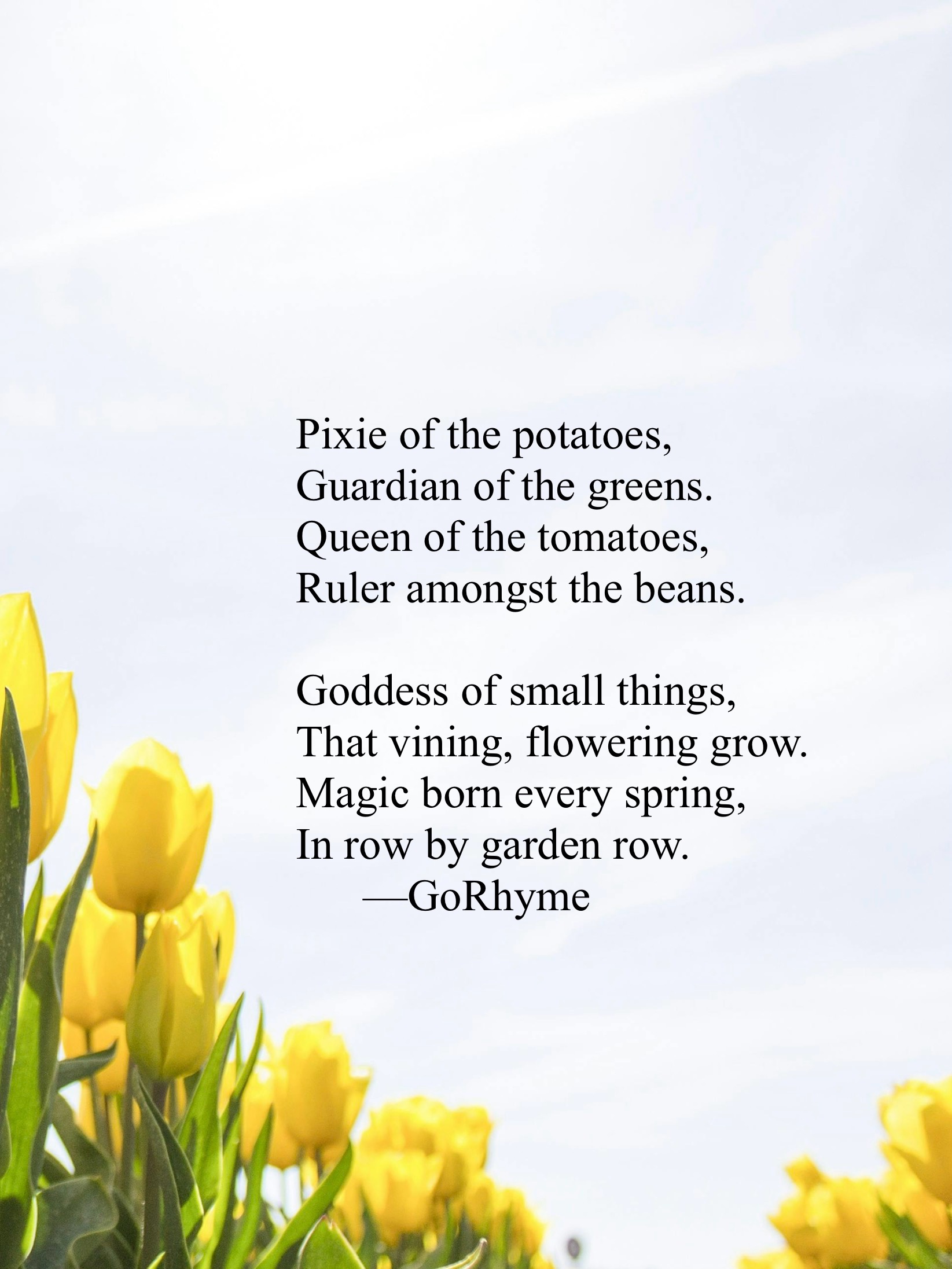 Poetry by Kelly Gray